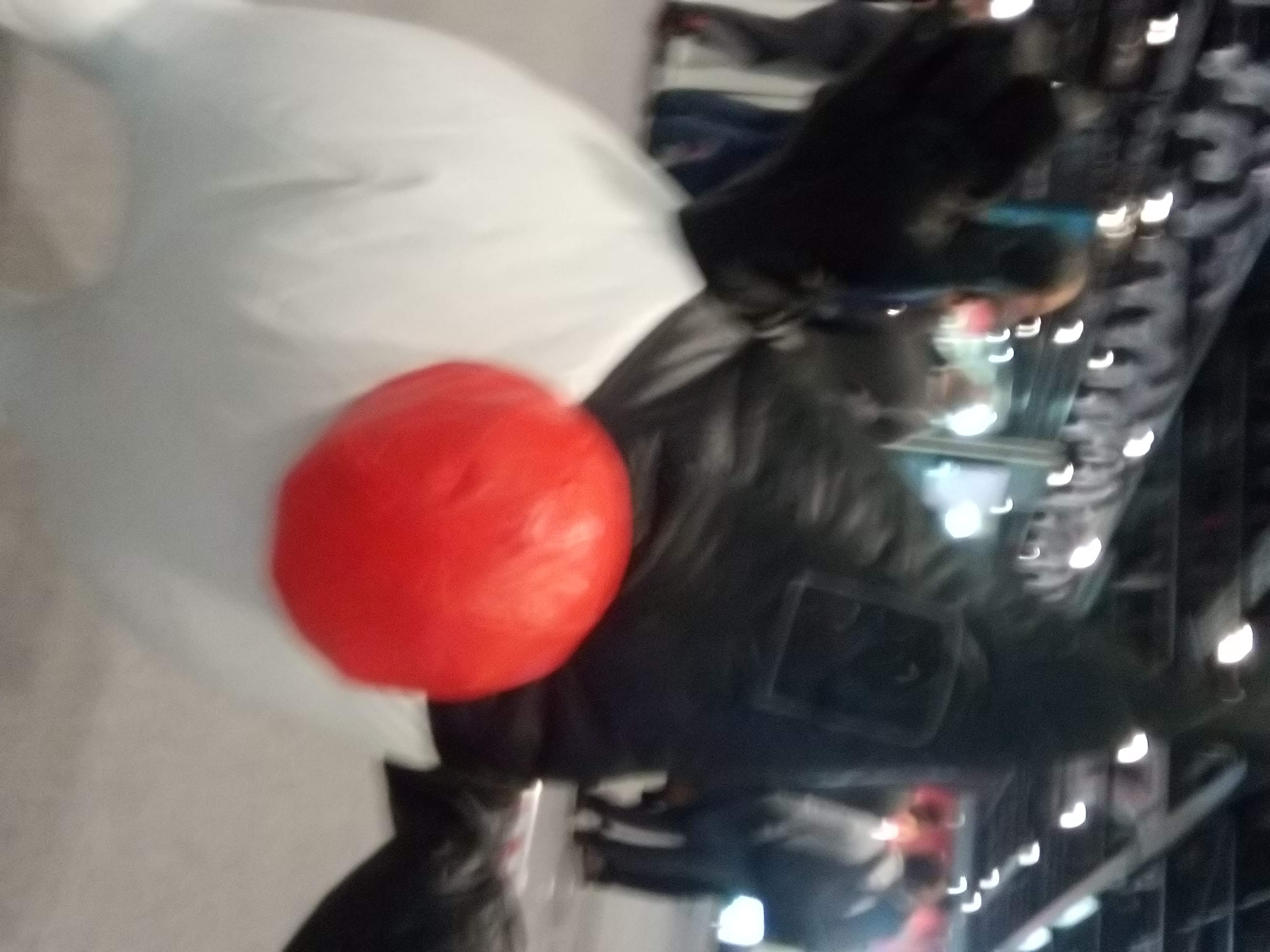 Duke, the Java programming language mascot, as a costumed figure